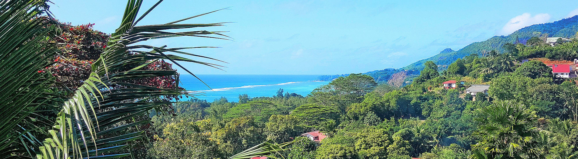 Maison Oasis Reef Estate Anse aux Pins Exterior foto